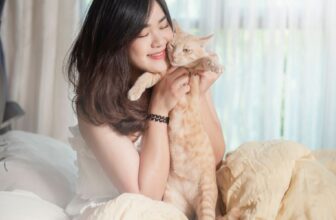 What Are the Essential Supplies for a New Cat Owner?